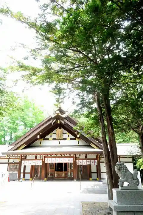 新琴似神社の本殿・本堂