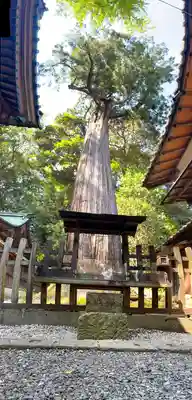 事任八幡宮(静岡県)