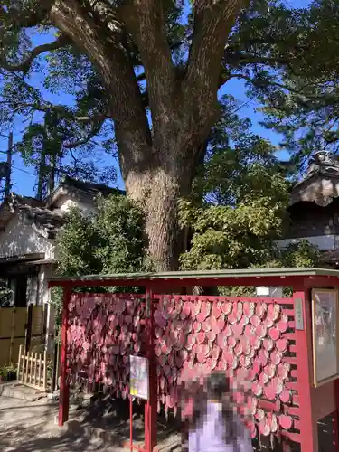 菅生神社(愛知県)