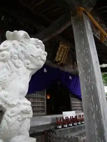 淺間神社（忍野八海）の狛犬