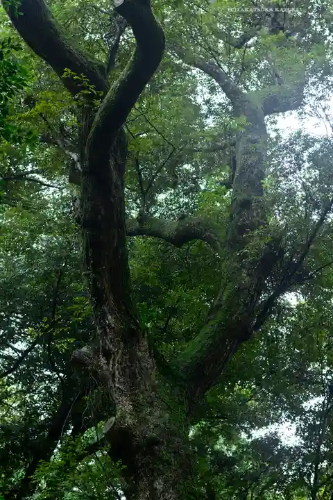 鹿島神宮(茨城県)