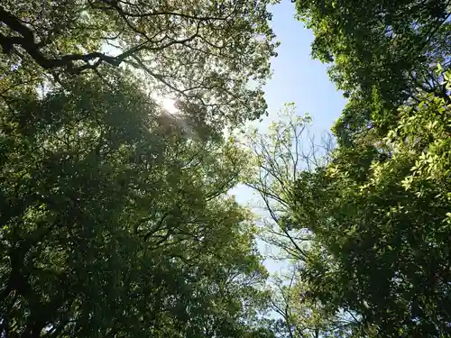 尾張大國霊神社（国府宮）の自然