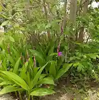 比佐豆知神社(三重県)