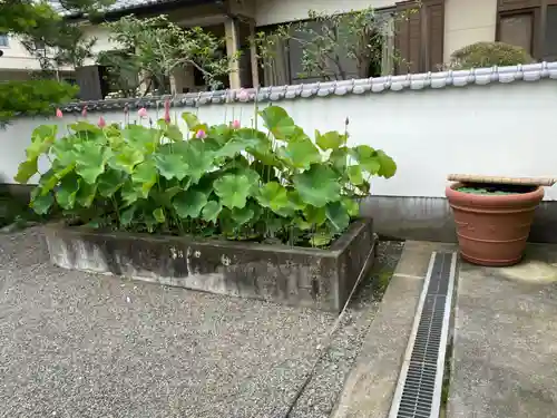 光榮寺の庭園