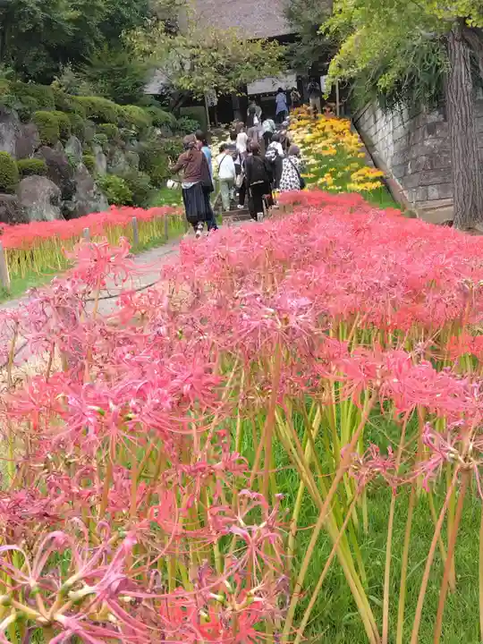 横浜 西方寺(神奈川県)