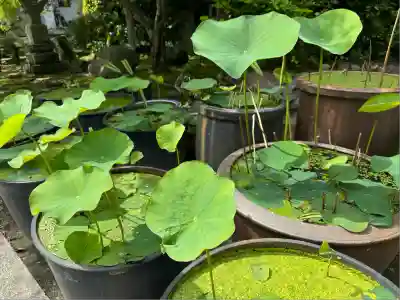 伊勢の国 四天王寺(三重県)