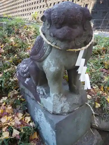 細山神明社の狛犬