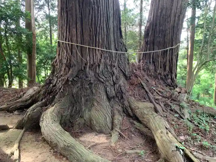 隣高神社(千葉県)