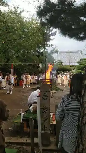 葛井寺の体験その他