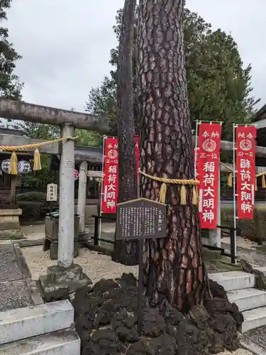 中野沼袋氷川神社(東京都)