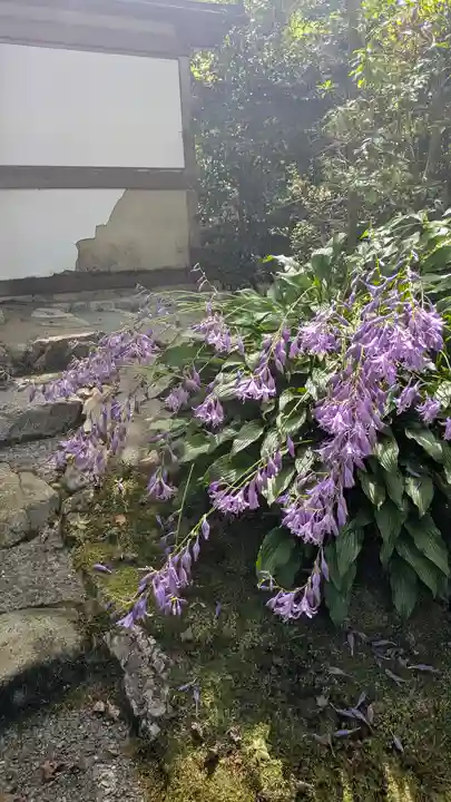 攝取院(摂取院)(京都府)