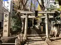 荻窪白山神社の鳥居