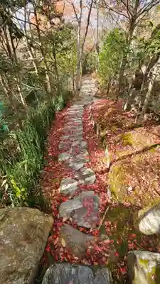 宝泉院(京都府)