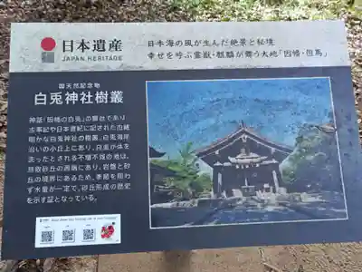 白兎神社(鳥取県)