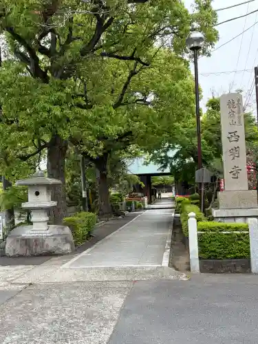 西明寺の{uncategorized: "未分類", other: "その他", undefined: "問題あり", building: "その他建物", grave: "お墓", sacred_gate: "鳥居", guardian: "狛犬", statue: "像", buddha: "仏像", history: "歴史", nature: "自然", garden: "庭園", animal: "動物", pagoda: "塔", temizu: "手水舎", mountain_gate: "山門・神門", sanctuary: "本殿・本堂", subordinate: "末社・摂社", art: "芸術", scenery: "景色", jizo: "地蔵", ema: "絵馬", goshuin: "御朱印", omikuji: "おみくじ", items: "授与品その他", amulet: "お守り", goshuincho: "御朱印帳", eats: "食事", festival: "お祭り", votive_dance: "神楽", shichigosan: "七五三参", wedding: "結婚式", experience: "体験その他", initially: "初詣", around: "周辺", anti_infection: "感染症対策"}