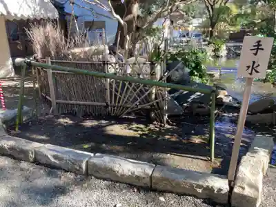 平塚八幡宮の手水舎