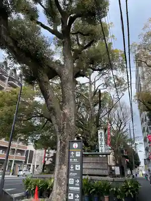 若一神社(京都府)