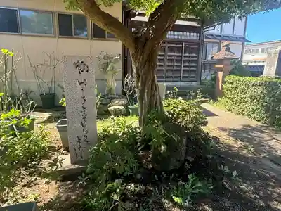 大円寺(石川県)