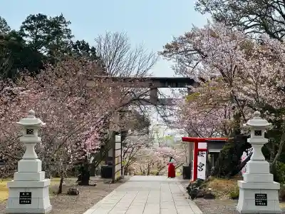 茨城縣護國神社(茨城県)