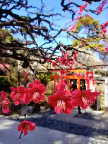 布多天神社(東京都)