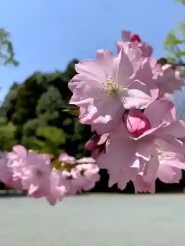 滑川神社 - 仕事と子どもの守り神(福島県)