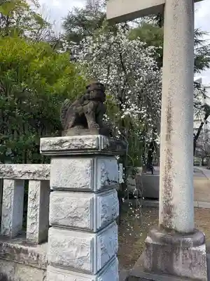 川口神社(埼玉県)