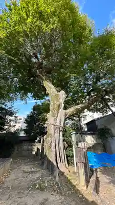 宇賀神社(京都府)