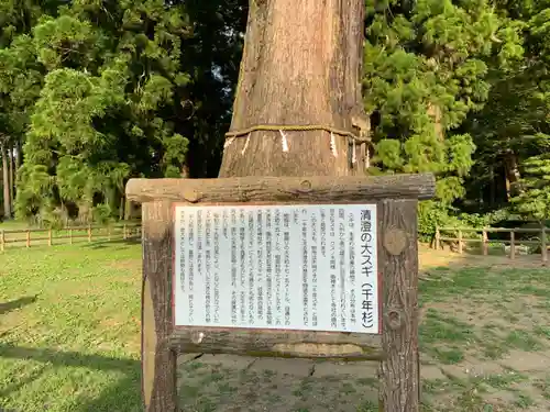 清澄寺のその他建物