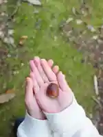 浄土寺(兵庫県)