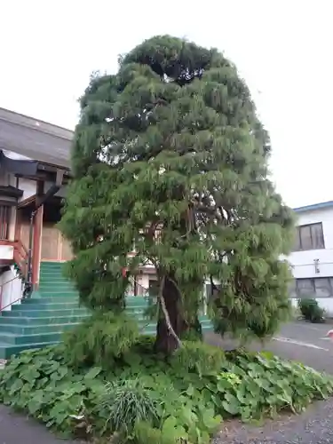 正蓮寺(青森県)