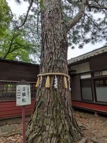 前原御嶽神社(千葉県)