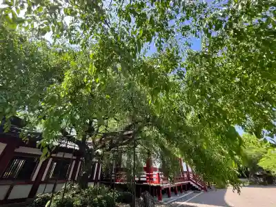 道成寺(和歌山県)