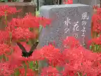 長命寺のその他建物