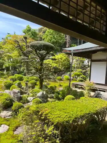 金剛寺(大阪府)