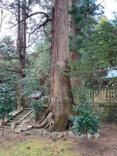 健武山神社のその他建物