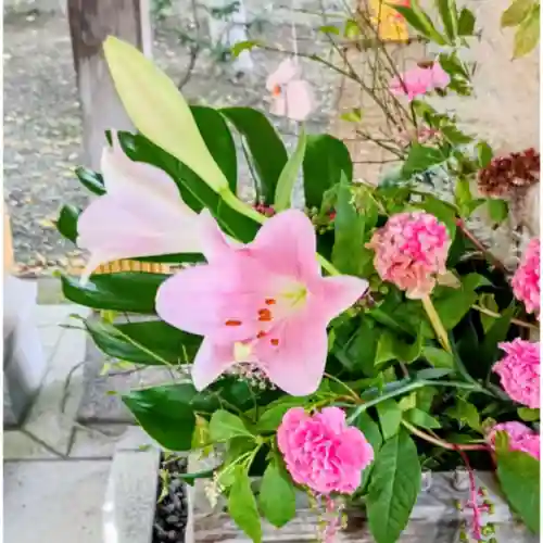彌彦神社　(伊夜日子神社)(北海道)