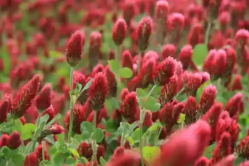 藤稲荷神社の周辺