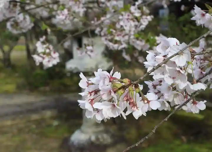 光明寺(粟生光明寺)(京都府)