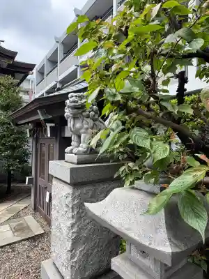 神楽坂若宮八幡神社の狛犬