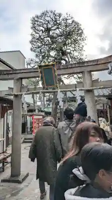 市比賣神社(京都府)