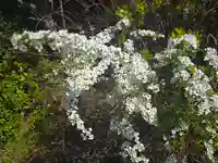 小松寺(大阪府)