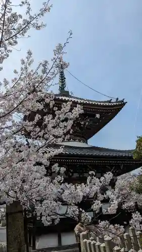本法寺(京都府)