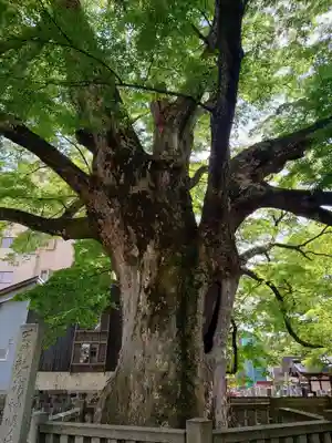 神明宮(石川県)