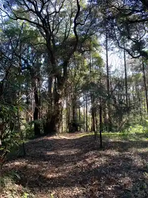 熊野神社(千葉県)