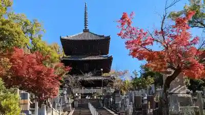 くろ谷 金戒光明寺(京都府)