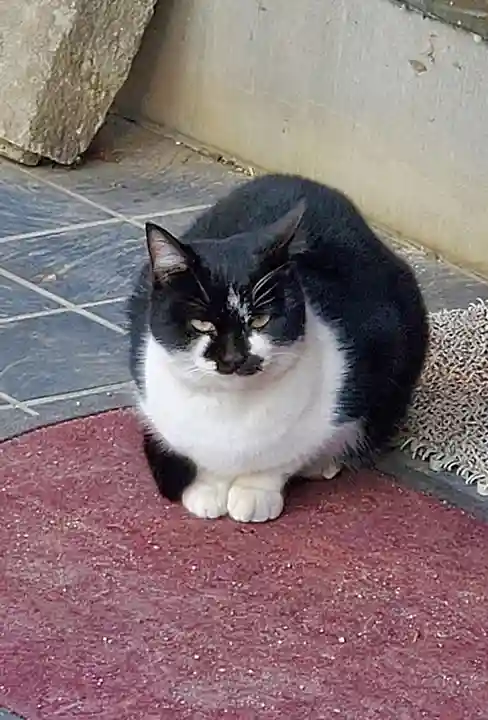 愛宕神社(福島県)