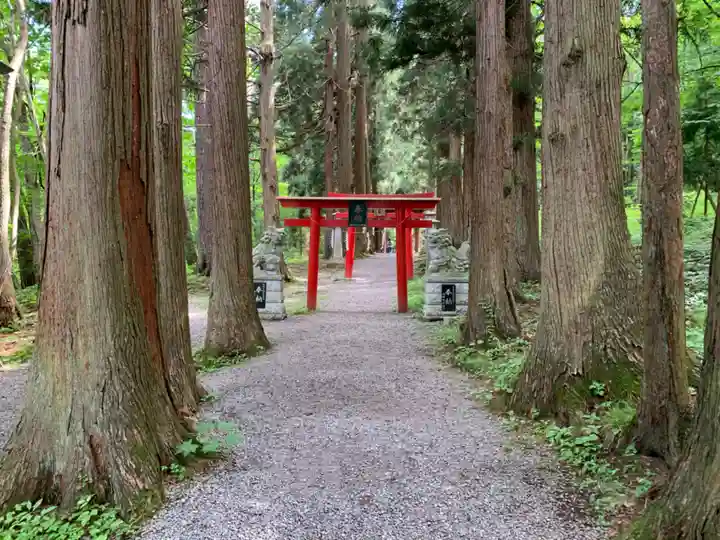 桜松神社の自然