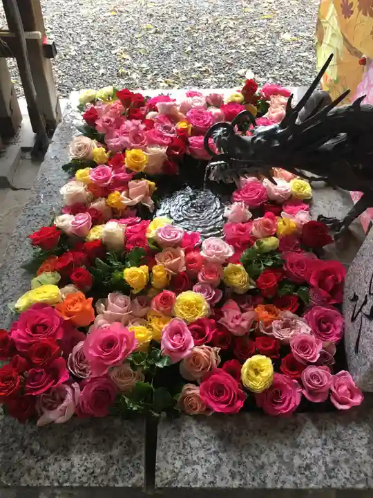 札幌諏訪神社の手水舎