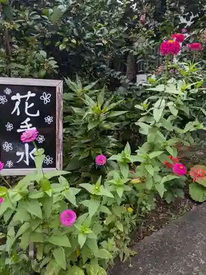 一乗寺(東京都)