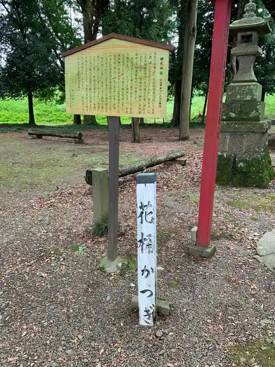 胸形神社(栃木県)